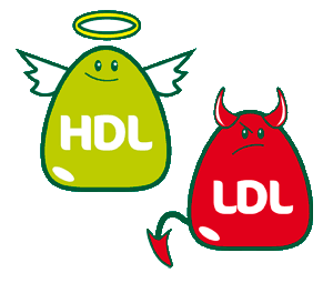 hdl yldl