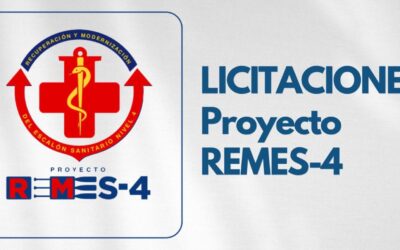 DETALLE LICITACIONES PROYECTO REMES-4